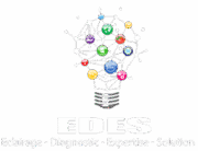 EDES