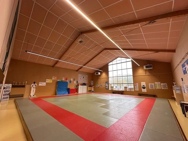 Dojo de judo avec tatamis vert et rouge, éclairage linéaire et posters pédagogiques muraux.